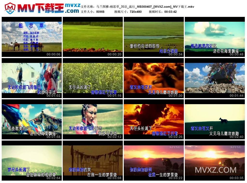 乌兰图雅-相思草_国语_流行_MB300407